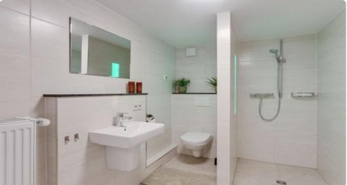 a bathroom with a sink and a toilet and a shower at Ferienhaus Vulkaneifel Haus Pesch in Brockscheid