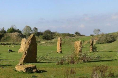 a field with large rocks in the grass at Spaniel Cottage with views of Ham hill, Stoke sub Hamdon in Martock
