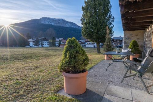 a potted tree sitting next to a table and a bench at Florin Ferien in Klosters