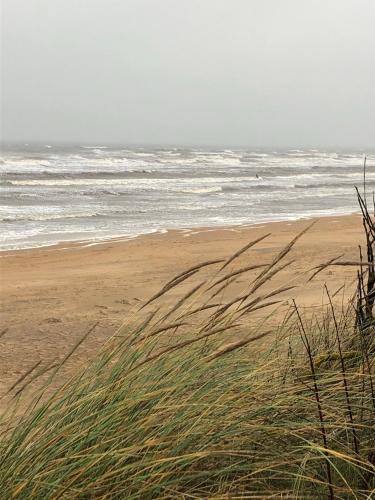a sandy beach with the ocean and some grass at Mellbystrand Björkvägen Apartment in Mellbystrand