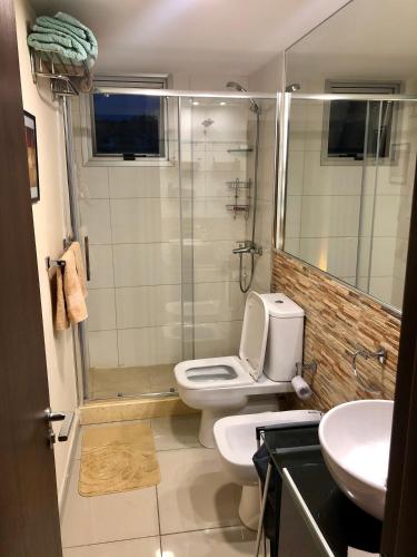 a bathroom with a shower and a toilet and a sink at Apartamento Acapulco Roosevelt in Punta del Este