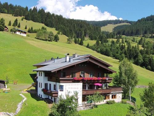 une maison sur une colline dans un champ verdoyant dans l'établissement Modern Apartment near Ski Area in Maria Alm, à Maria Alm