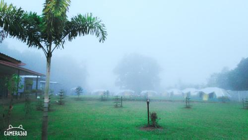 Foto dalla galleria di เฟรนด์แคมป์เต็นญกระโจม a Ban Khao Ya Nua