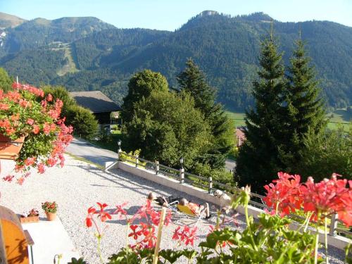 a group of people laying on a gravel road with mountains at Chalet Titlis in Bernex
