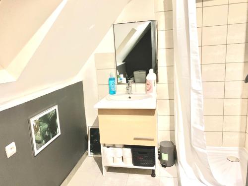 W łazience znajduje się umywalka i lustro. w obiekcie Logement Agréable récemment rénové à Aubusson w mieście Aubusson
