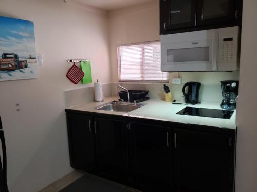 a kitchen with a sink and a microwave at Carolina Point Resort in Crown Point