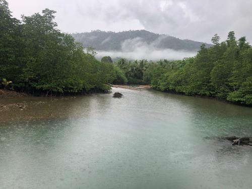 a river with a group of trees in the middle at Baan Chan Lay Koh Chang in Ko Chang