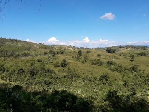 Peisaj natural din apropierea acestui B&B