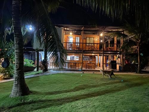 a cat walking in front of a house at night at Rio Beach Resort in Alegria