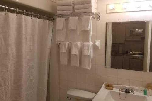 a bathroom with a white shower curtain and a sink at Cozy Studio #14, By Amazing Property Rentals in Gatineau