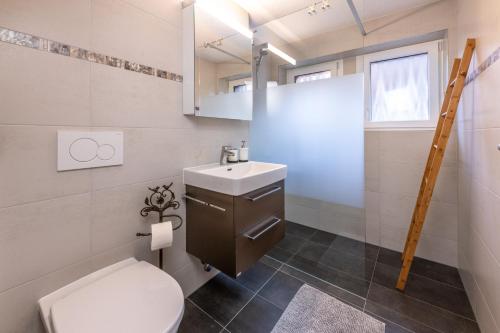 a bathroom with a toilet and a sink at Touring Chez Georges in Grächen