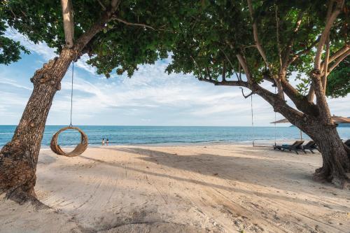 King's Garden Resort - SHA Plus – Photos 2