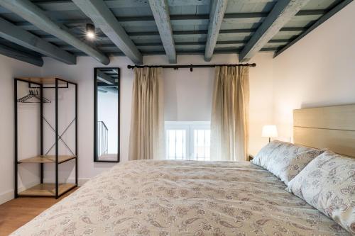een slaapkamer met een groot bed en een spiegel bij Apartamentos Leoncillos in Sevilla