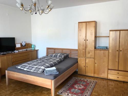 sypialnia z łóżkiem, drewnianymi szafkami i telewizorem w obiekcie City Apartments Klinikum w mieście Klagenfurt