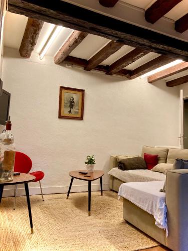 un salon avec un canapé et une table dans l'établissement L' Appart, à Toulouse