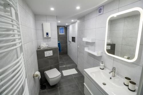 a bathroom with a sink and a toilet and a mirror at Ferienwohnung Eifelurlaub in Daun
