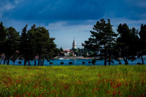 a field of grass with a view of the water and a church at Belvedere Holidays Villas in Novigrad Istria
