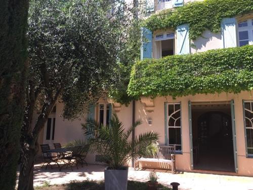 オンプスにあるLe Jardin d'Hompsの蔦の木が横に生えている家
