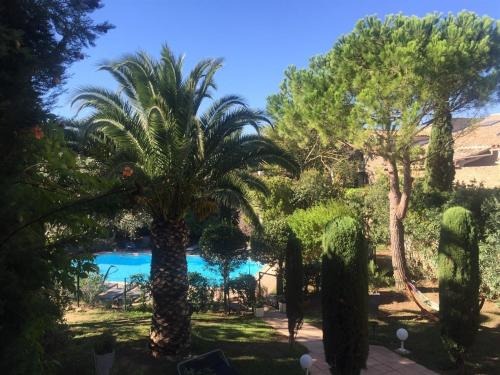 a group of palm trees and a swimming pool at Le Jardin d'Homps in Homps