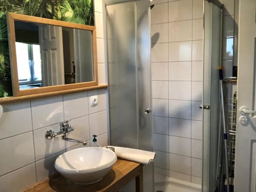 een badkamer met een wastafel en een douche bij Domek pod lasem in Pogorzelica