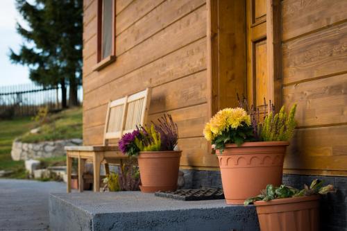 a group of potted plants sitting outside of a building at Roubenka Háj in Jindřichovice
