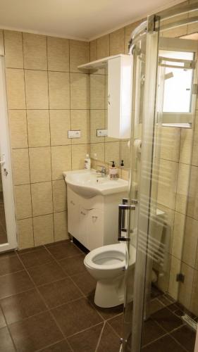 a bathroom with a toilet and a sink at Casa Horea in Deva