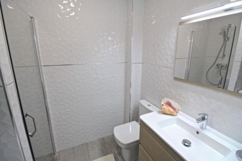 エル・カンページョにあるEstudio Playa Muchavistaのバスルーム(シャワー、洗面台、トイレ付)