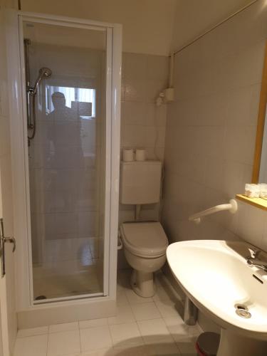 ein Bad mit einem WC, einem Waschbecken und einer Dusche in der Unterkunft Bed & Breakfast LA BETULLA in Baselga di Pinè