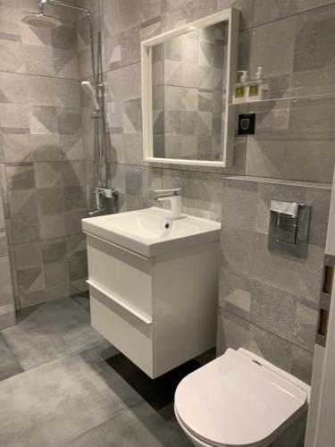 une salle de bain avec toilettes, lavabo et miroir dans l'établissement Golden Box Pamporovo, à Pamporovo