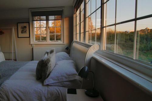 Red Cottage B&B – Photos 5