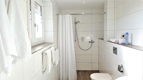 a white bathroom with a shower and a toilet at Motel Espenhof in Ladbergen