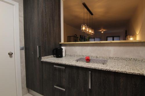 a kitchen with a counter with a red object on it at Danny and Linda Flat in La Massana