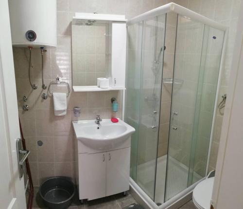 a bathroom with a shower and a sink and a toilet at Apartments NS Novaković in Zlatibor