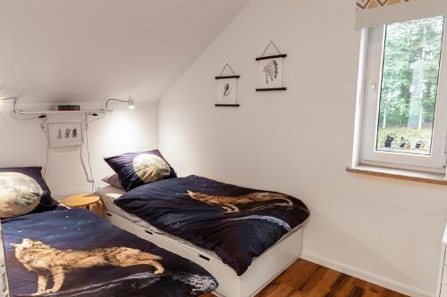 two beds in a room with cats sleeping on them at Ferienwohnung Wild West in Eging am See