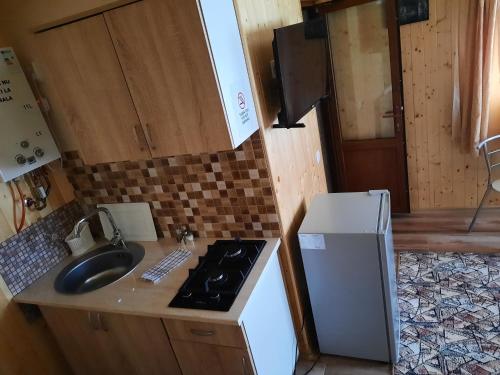 a small kitchen with a sink and a stove at Casa La LEPE in Roşia Montană