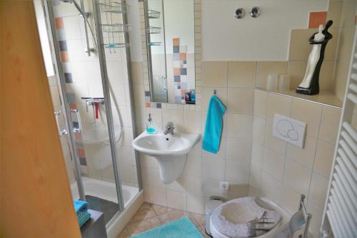 W łazience znajduje się prysznic, umywalka i toaleta. w obiekcie Ferienwohnung Dittrich w mieście Hilders