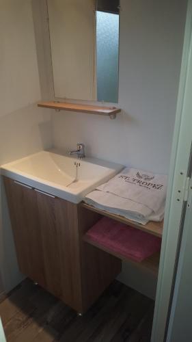 ein Bad mit einem Waschbecken und einem Spiegel in der Unterkunft Mobil Home XXL 4 chambres - Camping Les Tropiques in Torreilles