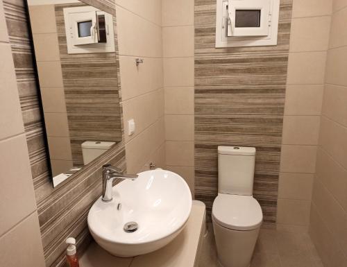 W łazience znajduje się umywalka, toaleta i lustro. w obiekcie Dolphin Apartments w mieście Paleokastritsa