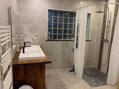 a bathroom with a sink and a shower at gîte de nonna in Givet