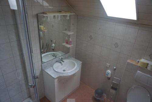 a bathroom with a sink and a shower and a toilet at Haus Barbara Stangl 2 in Pruggern