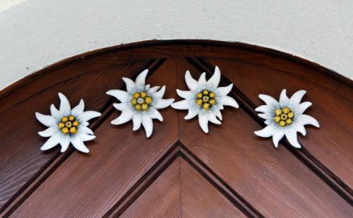 four white flowers on top of a wooden door at Panoramablick in Schruns-Tschagguns