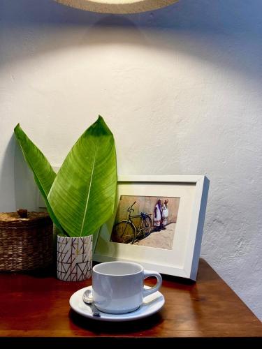 a cup of coffee on a table next to a plant at The Diplomat Boutique Hotel in Mérida