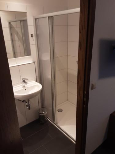 ein Bad mit einer Dusche und einem Waschbecken in der Unterkunft Goldener Anker in Genthin