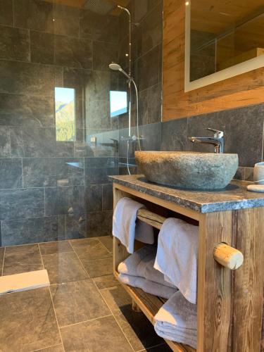a bathroom with a sink and a shower at Chalet RelaxAlp Garfrescha in Sankt Gallenkirch
