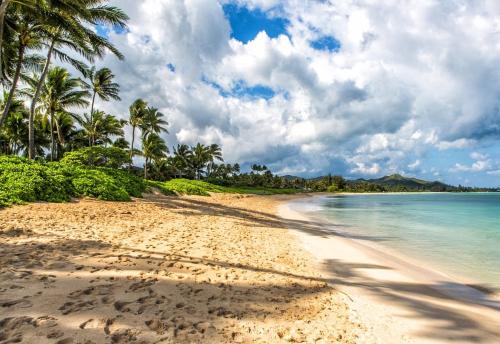 een strand met palmbomen en de oceaan bij Modern Luxury Beach House Kailua in Kailua