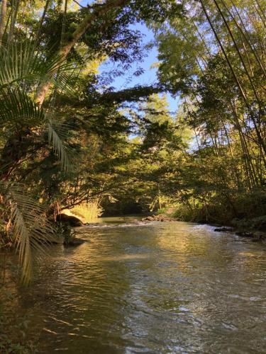 une rivière bordée d'arbres dans l'établissement Cabaña El Arenal San Rafael Antioquía, à San Rafael