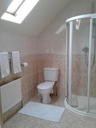 a bathroom with a toilet and a glass shower at Devenish Lodge B&B in Ballinrobe