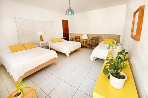 Casa Canario Hostel في غواذالاخارا: غرفه فندقيه سريرين مع مخدات صفراء