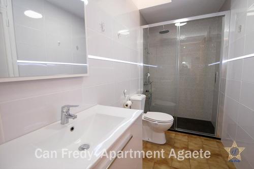 a bathroom with a sink and a toilet and a shower at Can Fredy - Private Apartment Agaete in Agaete