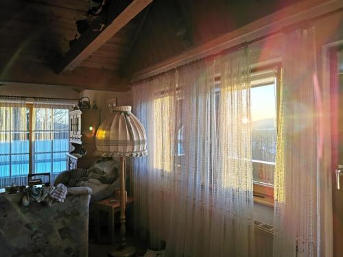 ハイトミューレにあるFerienhaus-Haidweg-Wohnung-5の窓付きのリビングルーム、ソファ、ランプが備わります。